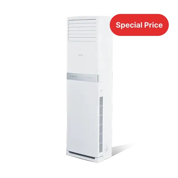 EcoStar 2 Ton inverter Floor Standing AC, Heat and Cool Cabinet AC